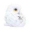 Feathered Nest Owl Figurne 10cm