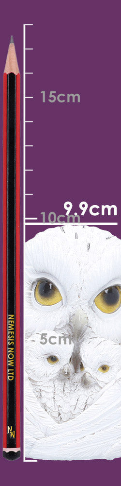 Feathered Nest Owl Figurne 10cm