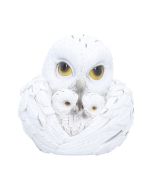 Coralscale Nestlings Dragon Figurines Set of 2 5.8cm