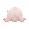Truffle Mini Pig Figurine 5.5cm