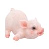 Truffle Mini Pig Figurine 5.5cm
