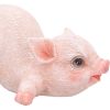 Truffle Mini Pig Figurine 5.5cm