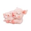 Cuddle Mini Pig Figurine 6cm