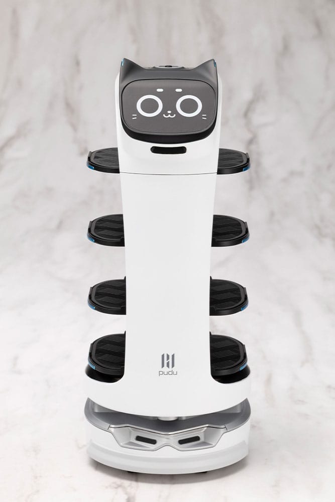 Pudu Robotics Grande ScalePlastic Model Kit BellaBot 19 cm