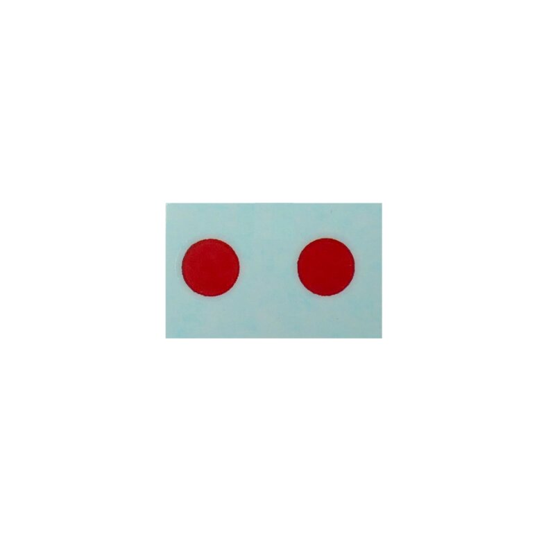 1/16 Ford GPA Rear Lights