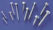 Socket Head Sheet Metal Screw No.2 x 1/2" (8)