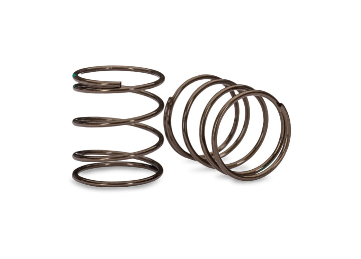 Springs Mini GTR (1.19 rate) (2)