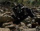 Crazy Crawler 1:10 - rock crawler