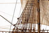 1:75 WASA - Wooden hull