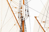 1:100 Bluenose II -Wooden hull