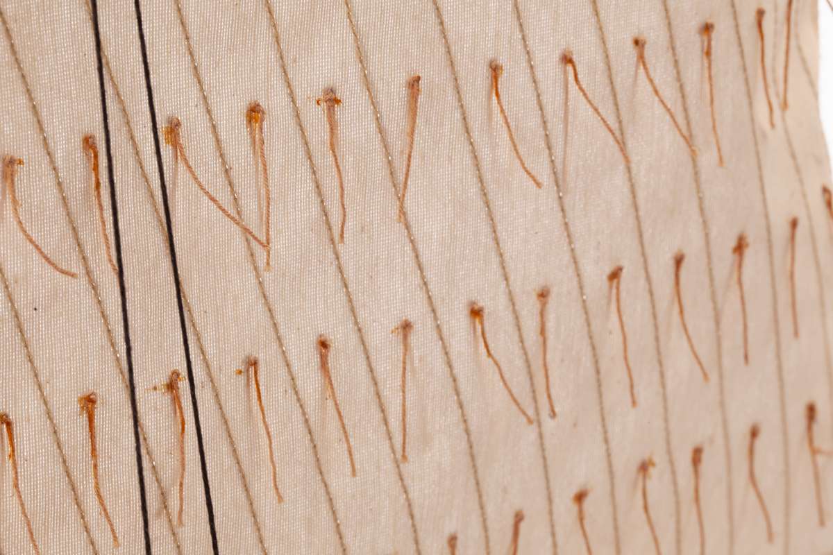 1:30 ESPERANCE - Wooden hull