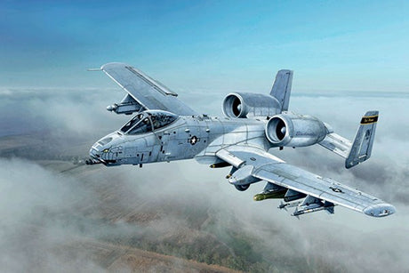 1:48 A-10C \'Blacksnakes\'