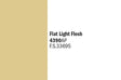Flat Light Flesh 20ml