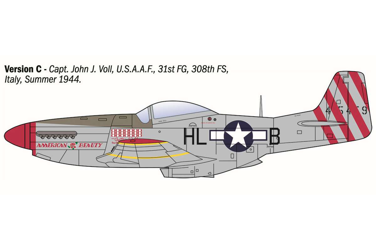 1:72 P-51D Mustang Aces