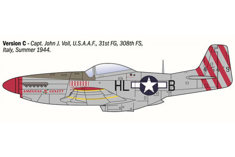 1:72 P-51D Mustang Aces