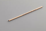 Pointed Brush (Small)