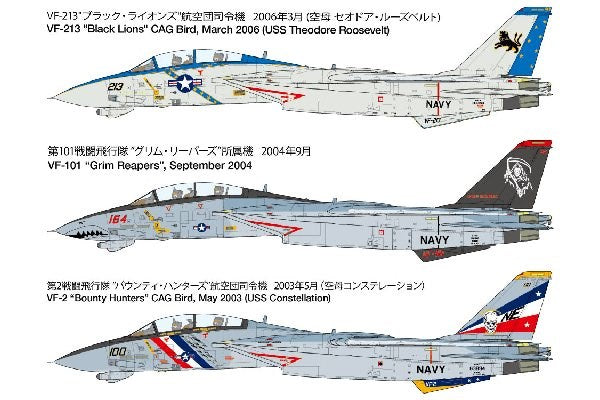1/48 Grumman F-14D Tomcat