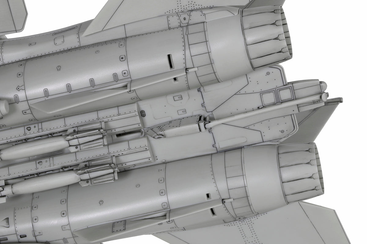 1/72 Grumman® F-14D TomcatT