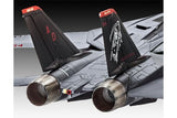 Grumman F-14D Super Tomcat