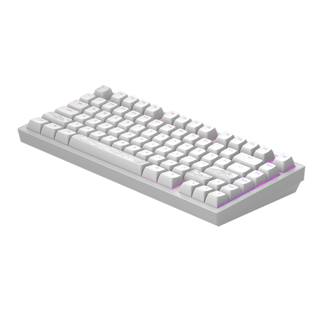 Dark Project ALU Terra Nostra R2 White - Wired Gaming Keyboard (ANSI)