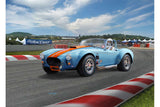 Model Set \'65 Shelby Cobra 427 1:24