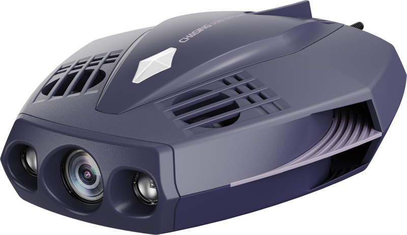 Dory Explore (Deep Purple)