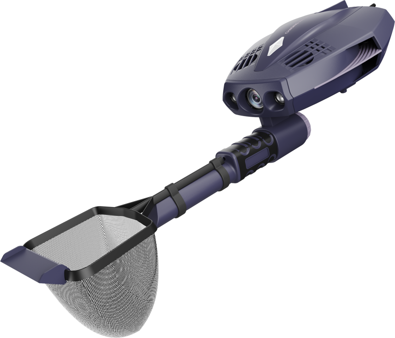 Dory Explore (Deep Purple)