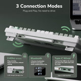 Royal Kludge M75 OLED 81K Taro Milk - RGB ANSI (ENG) wireless