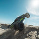 1/10 VORTEKS 223S DSC 2WD RTR Brushless Stadium Truck