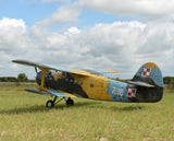 Antonov An-2 30-35cc 2425mm wingspan