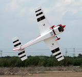 Extra 300 226cm 76cc Gas ARF