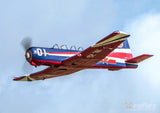 Nanchang CJ-6 V2 1200mm with Reflex V2 Gyro*