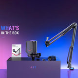 FIFINE A6T Condenser RGB USB Microphone with Boom Arm, Black