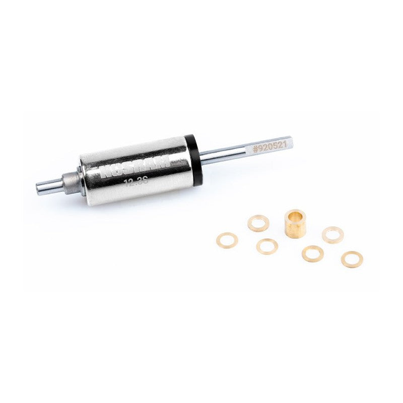 N22 Stock Spec 12.3mm WorksTeam Rotor