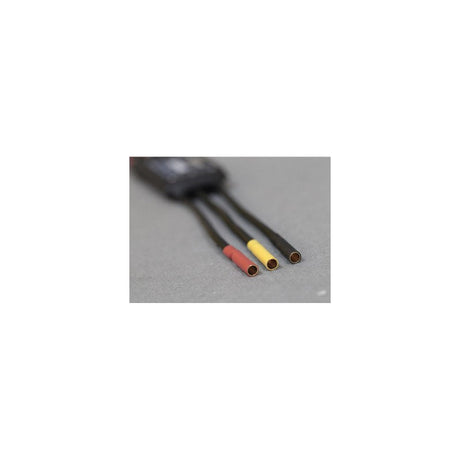 100A ESC (Hobbywing)