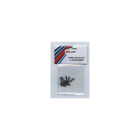 Flat head screws M3x14 (10)