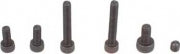 Carburetor Screw Set FA-30*