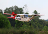 Giant Cessna Bird Dog "DeadEye 70-125cc Gas