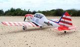 Art SchollÂ´s Super Chipmunk 15cc 160cm ARF