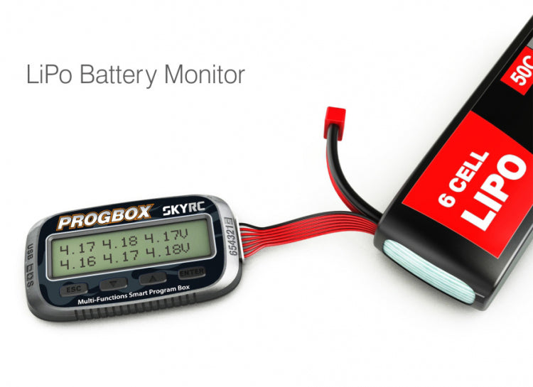 Prog/Multi-function Smart Program Box SkyRc