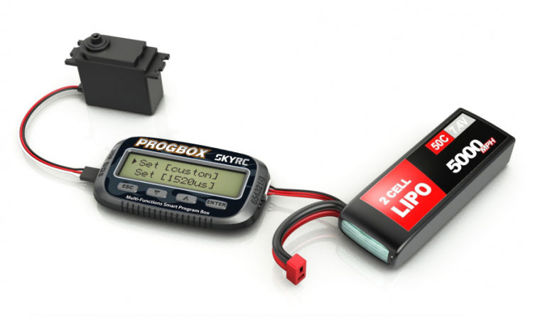 Prog/Multi-function Smart Program Box SkyRc