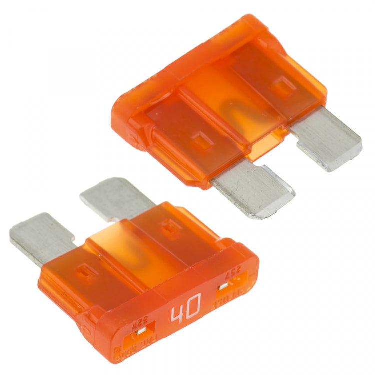 Fuse for BD250 (2)*