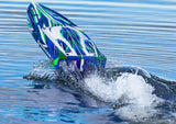 Traxxas Spartan-SR BL TQi TSM Self-Righting - vild radiostyrd båt