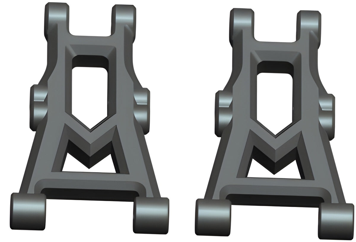 Suspension Arm Rear Lower (2)