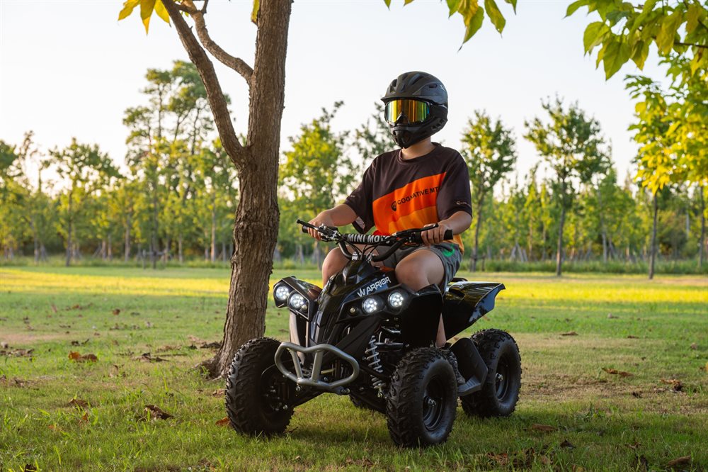 Azeno Warrior 1000W 48V El-ATV 25 km/h