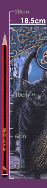 Nemesis Now Lisa Parker A Brush With Magick Cat Purse Navy 18.5cm