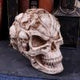 Dracula's Tale Vampire Novel Quote Skull