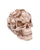 Death's Head Treasure Box 14.5cm