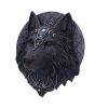 Dark Gothic Magical Wolf Moon Wall Hanging Plaque – billede 5