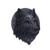 Dark Gothic Magical Wolf Moon Wall Hanging Plaque – billede 6